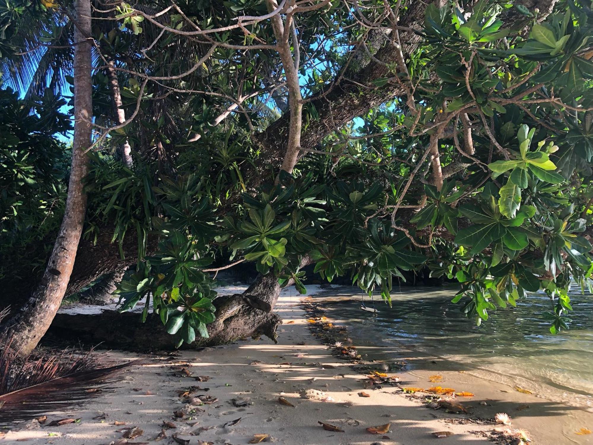 Aurora Lodge Ile aux Nattes Luaran gambar